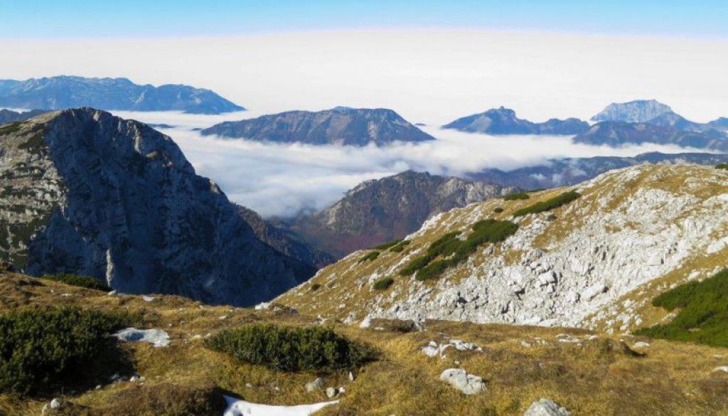 Feuertalberg Wandern