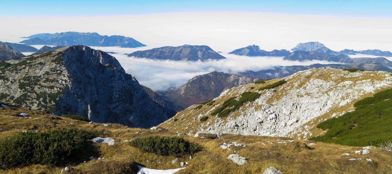 Feuertalberg Wandern