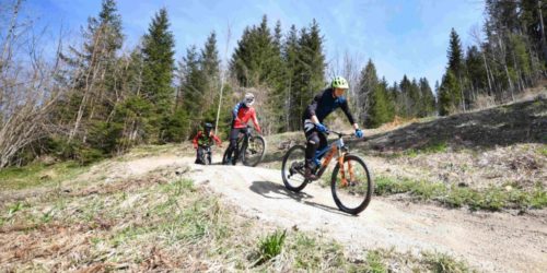 Bildergalerie Mountainbike 22 (4)