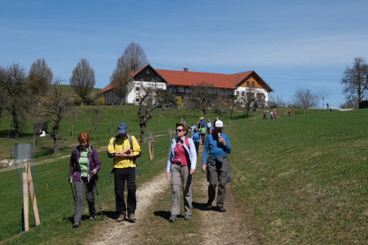 Koglerhof_10