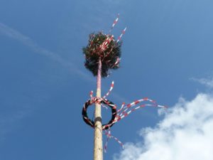 Maibaum